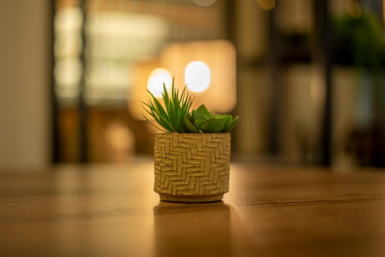 梅蒂斯uls酒店 雅典 外观 照片